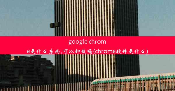 google chrome是什么东西,可以卸载吗(chrome软件是什么)