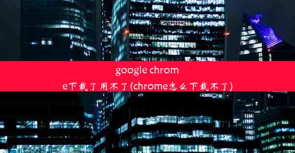 google chrome下载了用不了(chrome怎么下载不了)