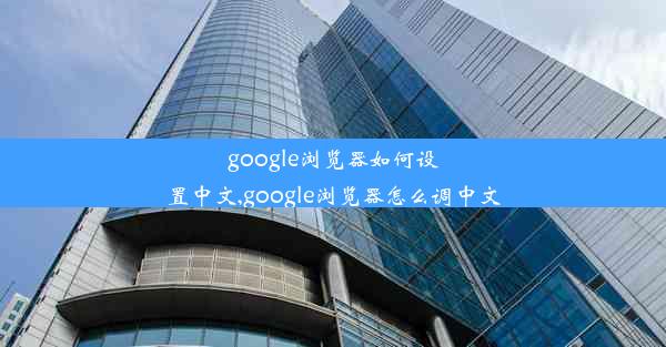 google浏览器如何设置中文,google浏览器怎么调中文