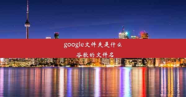 google文件夹是什么_谷歌的文件名