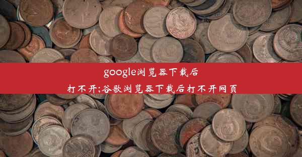 google浏览器下载后打不开;谷歌浏览器下载后打不开网页