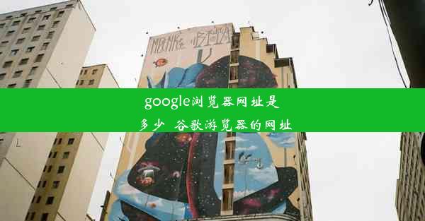 google浏览器网址是多少_谷歌游览器的网址