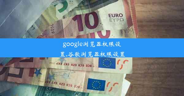 google浏览器权限设置,谷歌浏览器权限设置