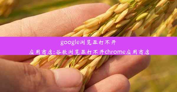 google浏览器打不开应用商店;谷歌浏览器打不开chrome应用商店