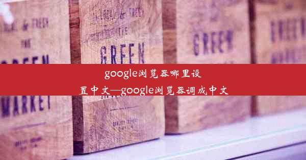 google浏览器哪里设置中文—google浏览器调成中文