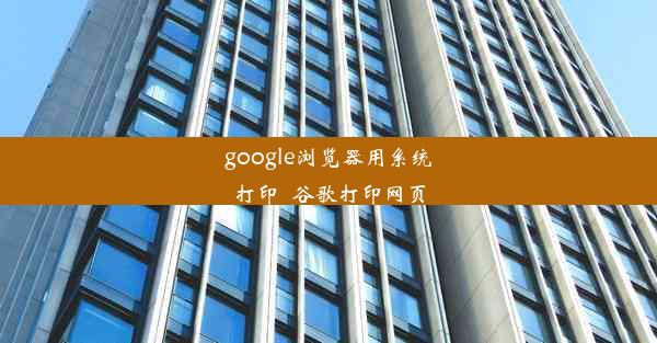 google浏览器用系统打印_谷歌打印网页