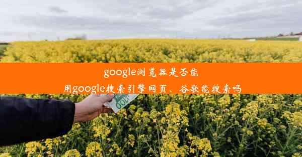 google浏览器是否能用google搜索引擎网页、谷歌能搜索吗