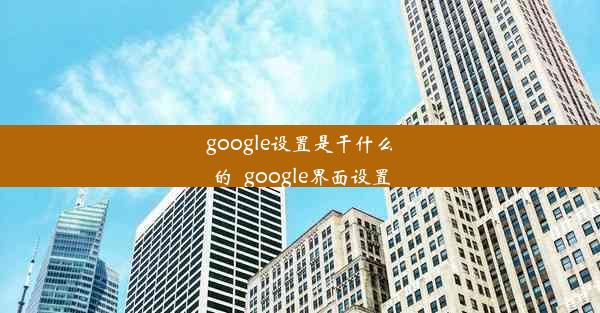 google设置是干什么的_google界面设置