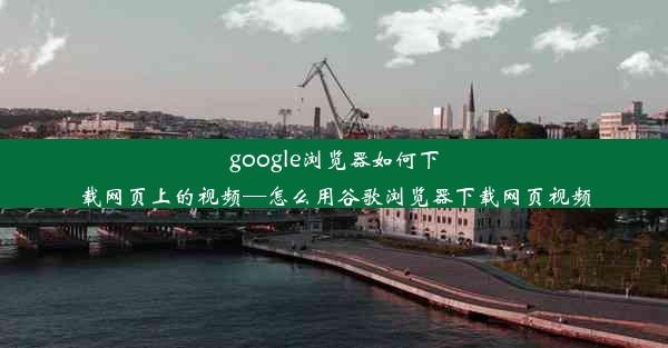 google浏览器如何下载网页上的视频—怎么用谷歌浏览器下载网页视频