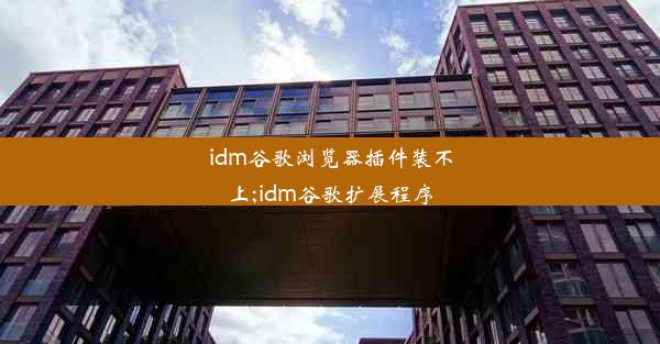 idm谷歌浏览器插件装不上;idm谷歌扩展程序