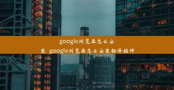 google浏览器怎么安装_google浏览器怎么安装翻译插件