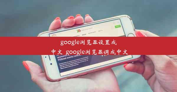 google浏览器设置成中文_google浏览器调成中文