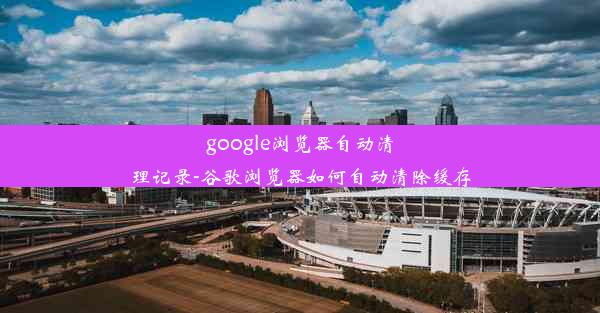 google浏览器自动清理记录-谷歌浏览器如何自动清除缓存