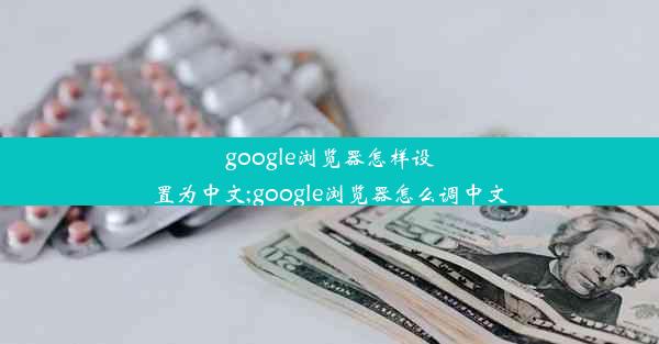 google浏览器怎样设置为中文;google浏览器怎么调中文