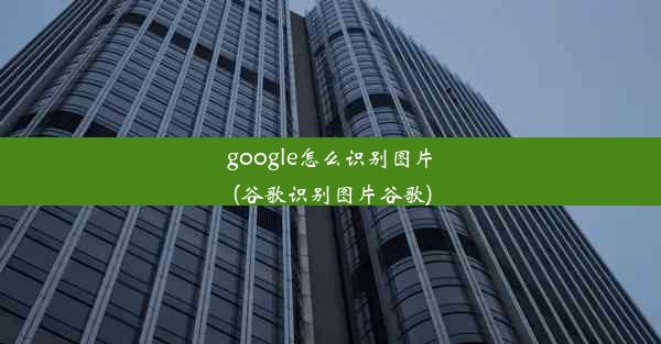 google怎么识别图片(谷歌识别图片谷歌)