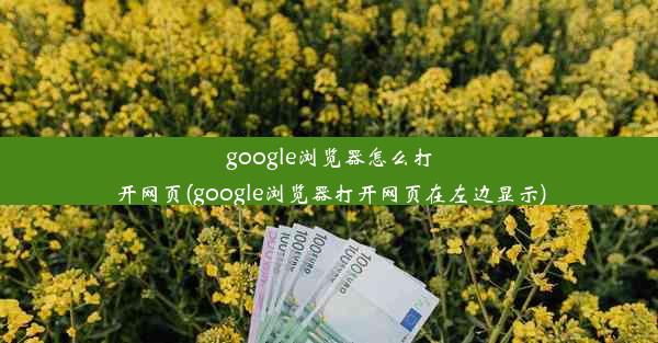 google浏览器怎么打开网页(google浏览器打开网页在左边显示)