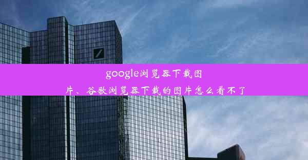 google浏览器下载图片、谷歌浏览器下载的图片怎么看不了