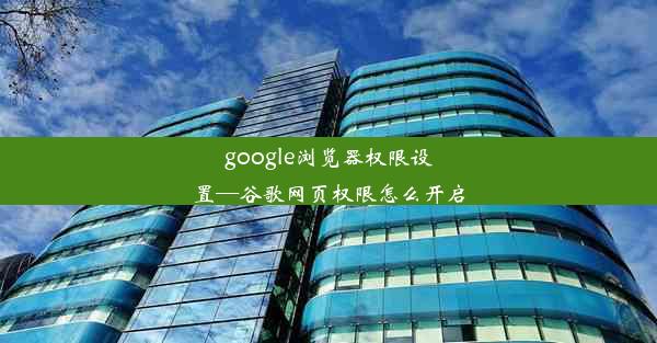 google浏览器权限设置—谷歌网页权限怎么开启