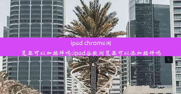 ipad chrome浏览器可以加插件吗;ipad谷歌浏览器可以添加插件吗