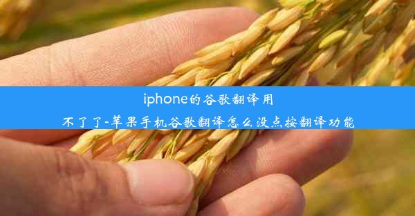 iphone的谷歌翻译用不了了-苹果手机谷歌翻译怎么没点按翻译功能