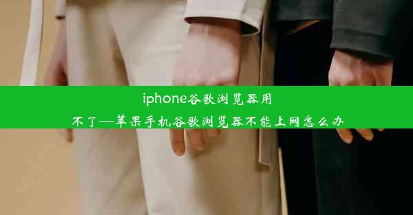 iphone谷歌浏览器用不了—苹果手机谷歌浏览器不能上网怎么办