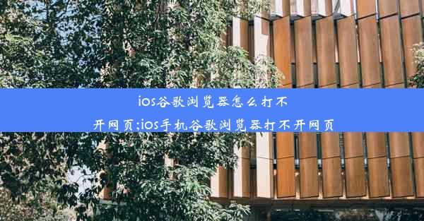 ios谷歌浏览器怎么打不开网页;ios手机谷歌浏览器打不开网页