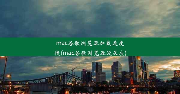 mac谷歌浏览器加载速度慢(mac谷歌浏览器没反应)