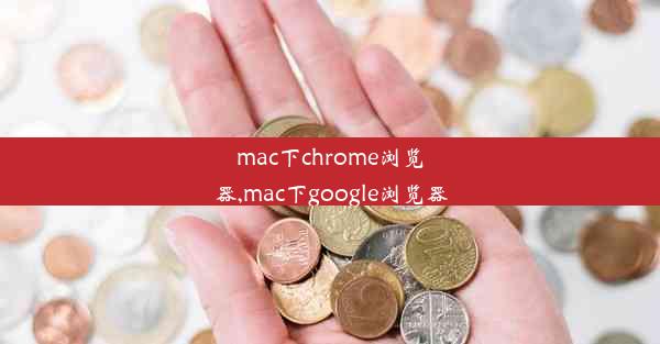 mac下chrome浏览器,mac下google浏览器