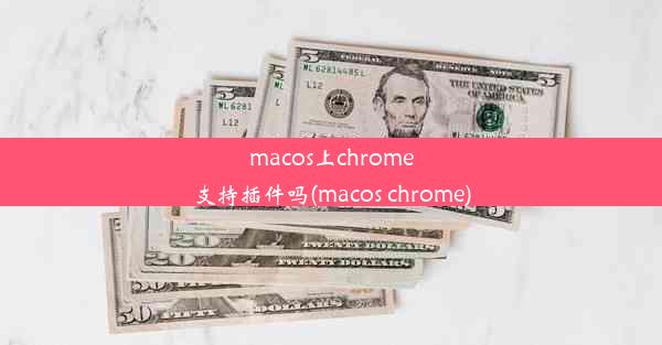 macos上chrome支持插件吗(macos chrome)