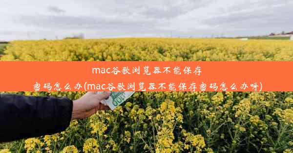 mac谷歌浏览器不能保存密码怎么办(mac谷歌浏览器不能保存密码怎么办呀)