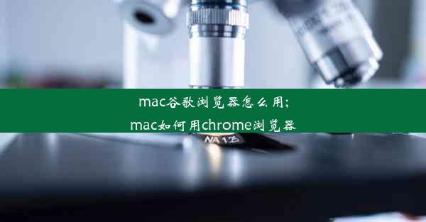 mac谷歌浏览器怎么用;mac如何用chrome浏览器