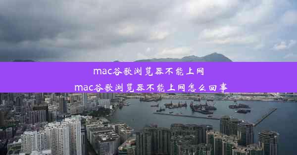 mac谷歌浏览器不能上网_mac谷歌浏览器不能上网怎么回事