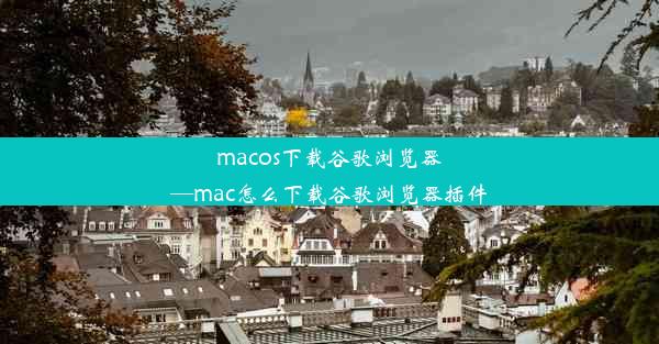 macos下载谷歌浏览器—mac怎么下载谷歌浏览器插件