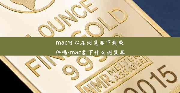 mac可以在浏览器下载软件吗-mac能下什么浏览器