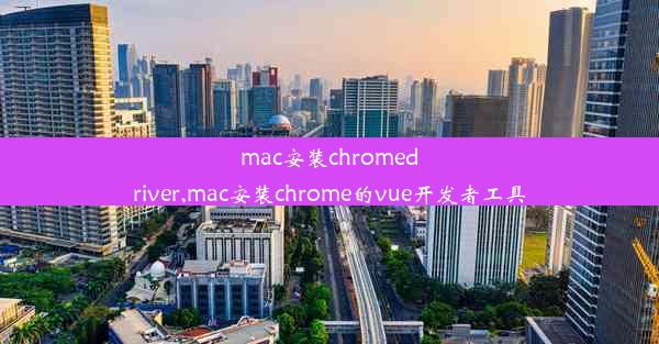 mac安装chromedriver,mac安装chrome的vue开发者工具