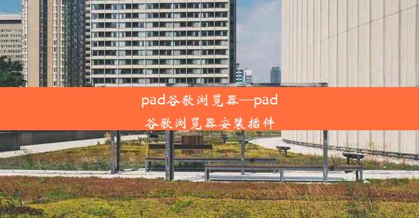 pad谷歌浏览器—pad谷歌浏览器安装插件