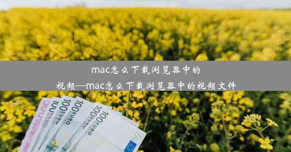 mac怎么下载浏览器中的视频—mac怎么下载浏览器中的视频文件