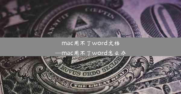 mac用不了word文档—mac用不了word怎么办