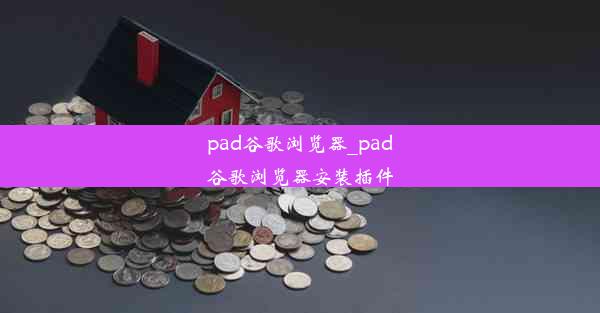 pad谷歌浏览器_pad谷歌浏览器安装插件