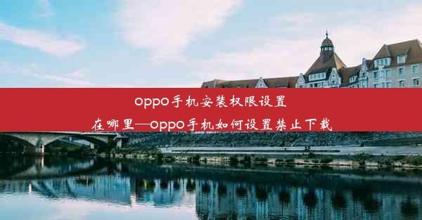 oppo手机安装权限设置在哪里—oppo手机如何设置禁止下载