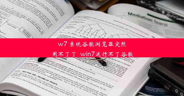 w7 系统谷歌浏览器突然用不了了_win7运行不了谷歌