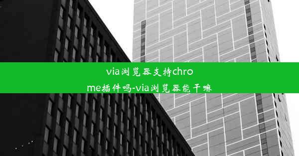 via浏览器支持chrome插件吗-via浏览器能干嘛