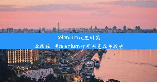 selenium设置浏览器路径_用selenium打开浏览器并搜索