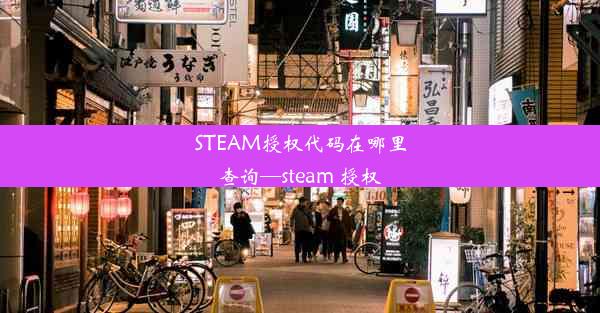 STEAM授权代码在哪里查询—steam 授权