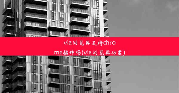 via浏览器支持chrome插件吗(via浏览器功能)