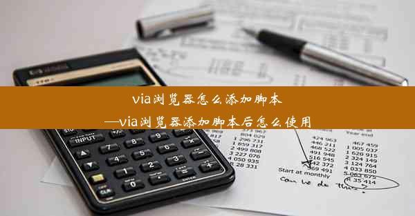 via浏览器怎么添加脚本—via浏览器添加脚本后怎么使用