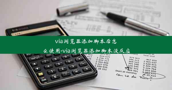 via浏览器添加脚本后怎么使用-via浏览器添加脚本没反应