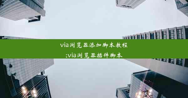 via浏览器添加脚本教程;via浏览器插件脚本