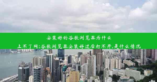 安装好的谷歌浏览器为什么上不了网;谷歌浏览器安装好过后打不开,是什么情况