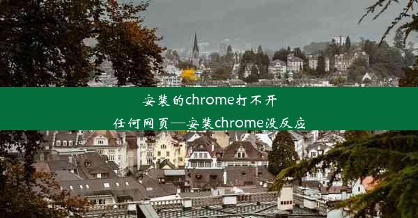 安装的chrome打不开任何网页—安装chrome没反应